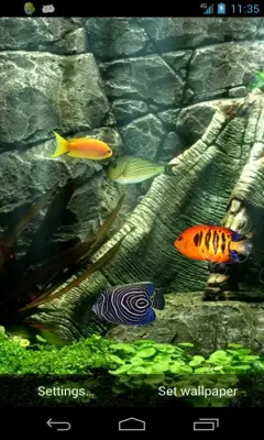 Fish Aquarium android App screenshot 2