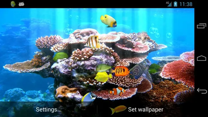 Fish Aquarium android App screenshot 5