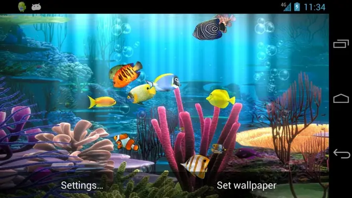 Fish Aquarium android App screenshot 6