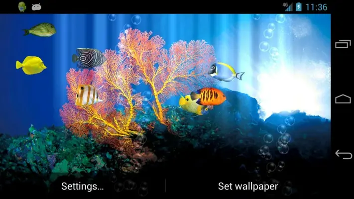 Fish Aquarium android App screenshot 7